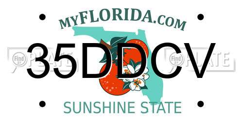 35DDCV Florida License Plate
