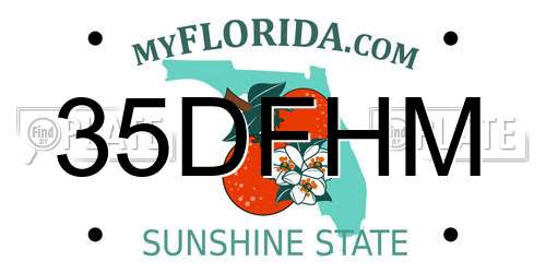 35DFHM Florida License Plate
