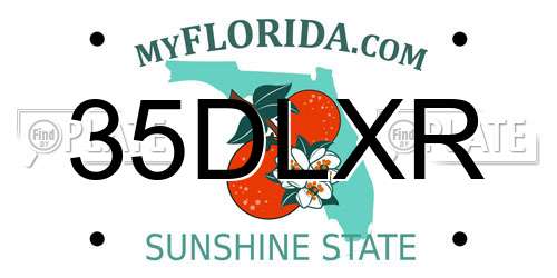 35DLXR Florida License Plate