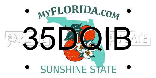 35DQIB Florida License Plate