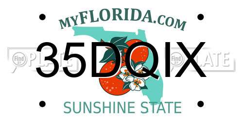 35DQIX Florida License Plate