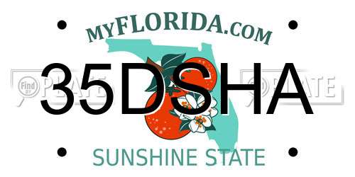 35DSHA Florida License Plate