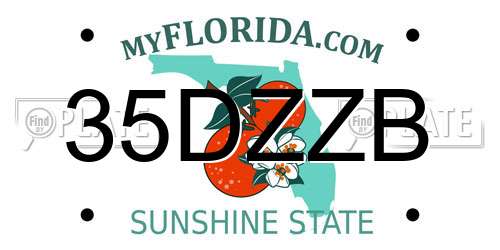 35DZZB Florida License Plate