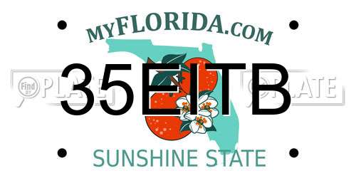 35EITB Florida License Plate
