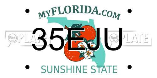 35EJU Florida License Plate