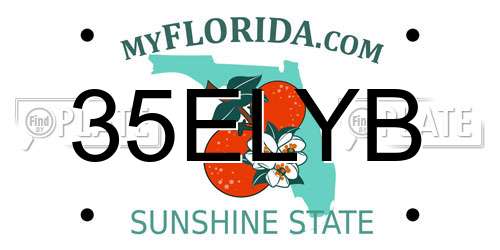35ELYB Florida License Plate