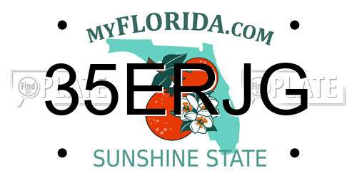 35ERJG Florida License Plate