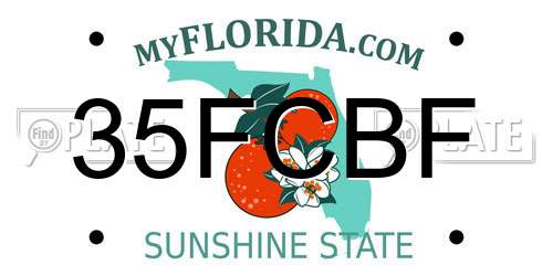 35FCBF Florida License Plate