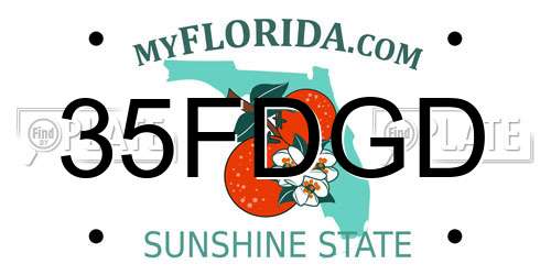 35FDGD Florida License Plate