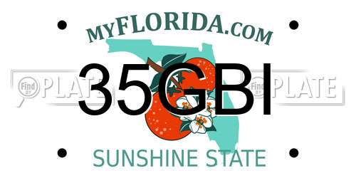 35GBI Florida License Plate