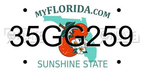 35GG259 Florida License Plate
