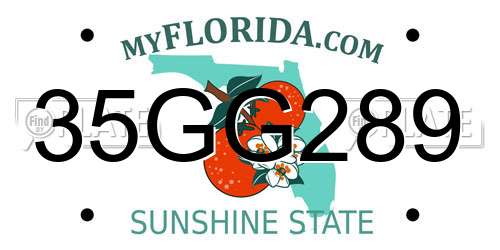 35GG289 Florida License Plate