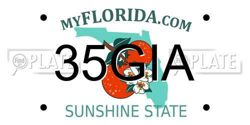 35GIA Florida License Plate