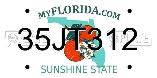 35JT312 Florida License Plate
