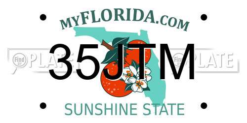 35JTM Florida License Plate