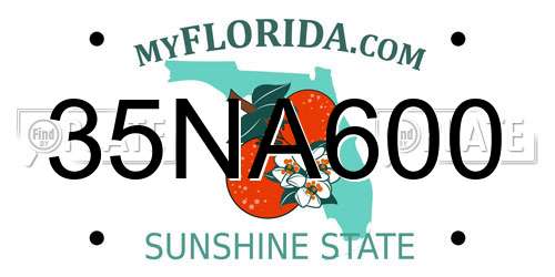 35NA600 Florida License Plate