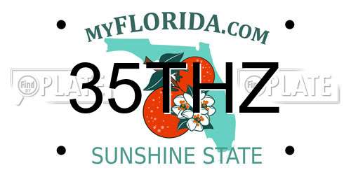 35THZ Florida License Plate