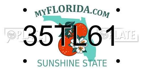35TL61 Florida License Plate