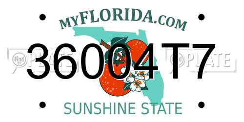 36004T7 Florida License Plate