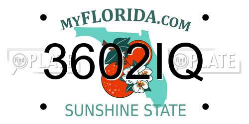 3602IQ Florida License Plate