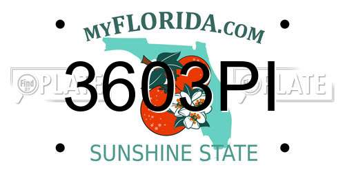 3603PI Florida License Plate