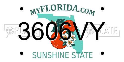 3606VY Florida License Plate