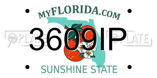 3609IP Florida License Plate