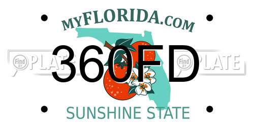 360FD Florida License Plate