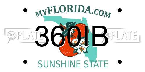 360IB Florida License Plate