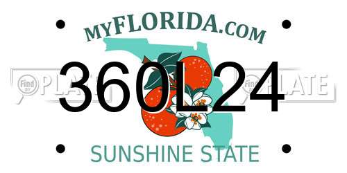 360L24 Florida License Plate