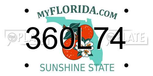 360L74 Florida License Plate