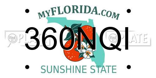 360NQI Florida License Plate