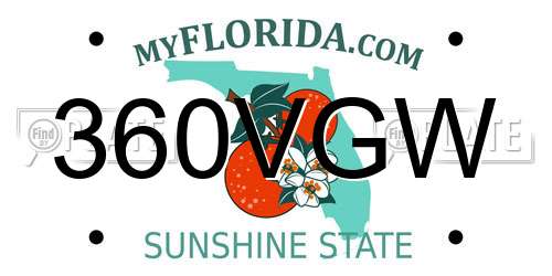 360VGW Florida License Plate