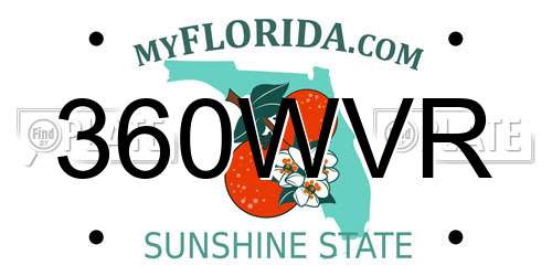 360WVR Florida License Plate