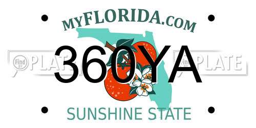 360YA Florida License Plate