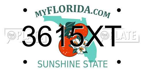 3615XT Florida License Plate