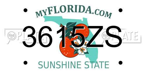 3615ZS Florida License Plate