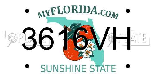 3616VH Florida License Plate