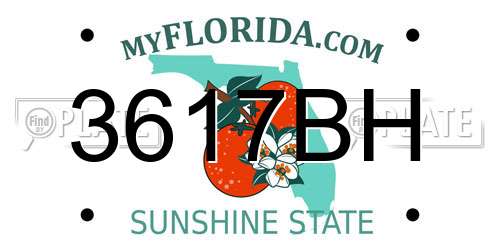3617BH Florida License Plate