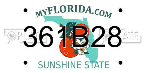 361B28 Florida License Plate