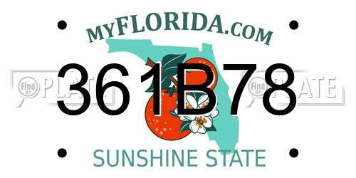 361B78 Florida License Plate