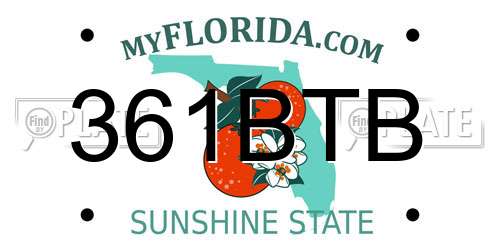 361BTB Florida License Plate