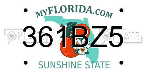 361BZ5 Florida License Plate