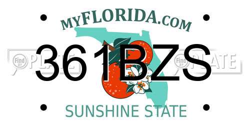 361BZS Florida License Plate