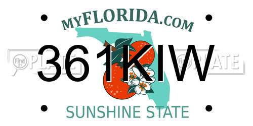 361KIW Florida License Plate