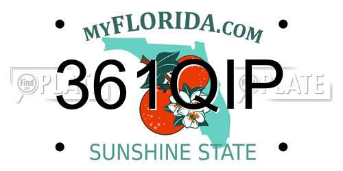 361QIP Florida License Plate