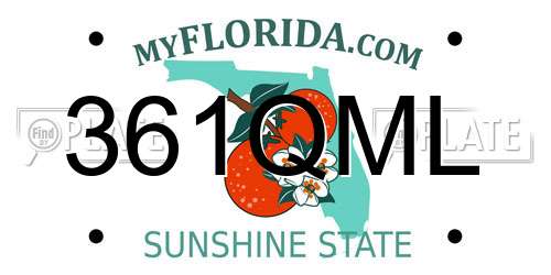 361QML Florida License Plate