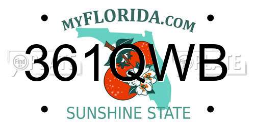 361QWB Florida License Plate