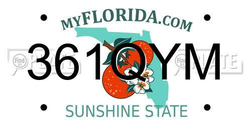 361QYM Florida License Plate