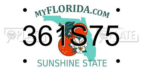 361S75 Florida License Plate